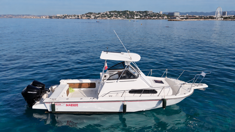 BOSTON WHALER 27 Walkaround Whaler Drive