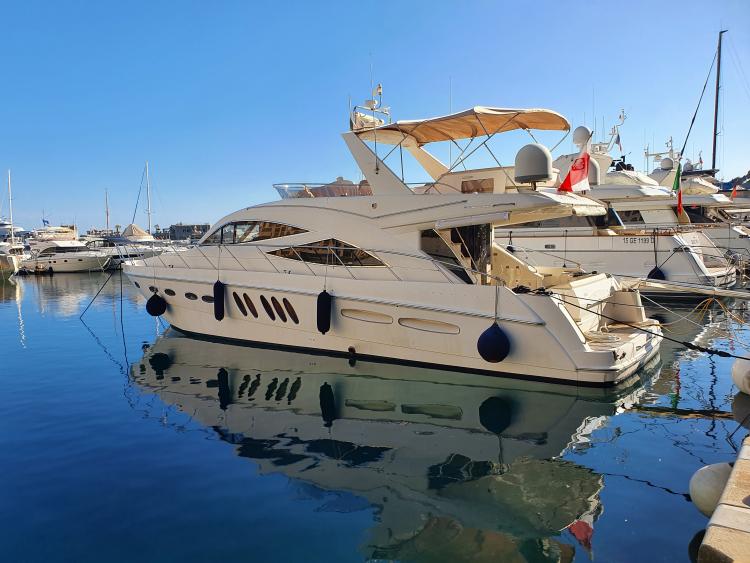 SEALINE t 60